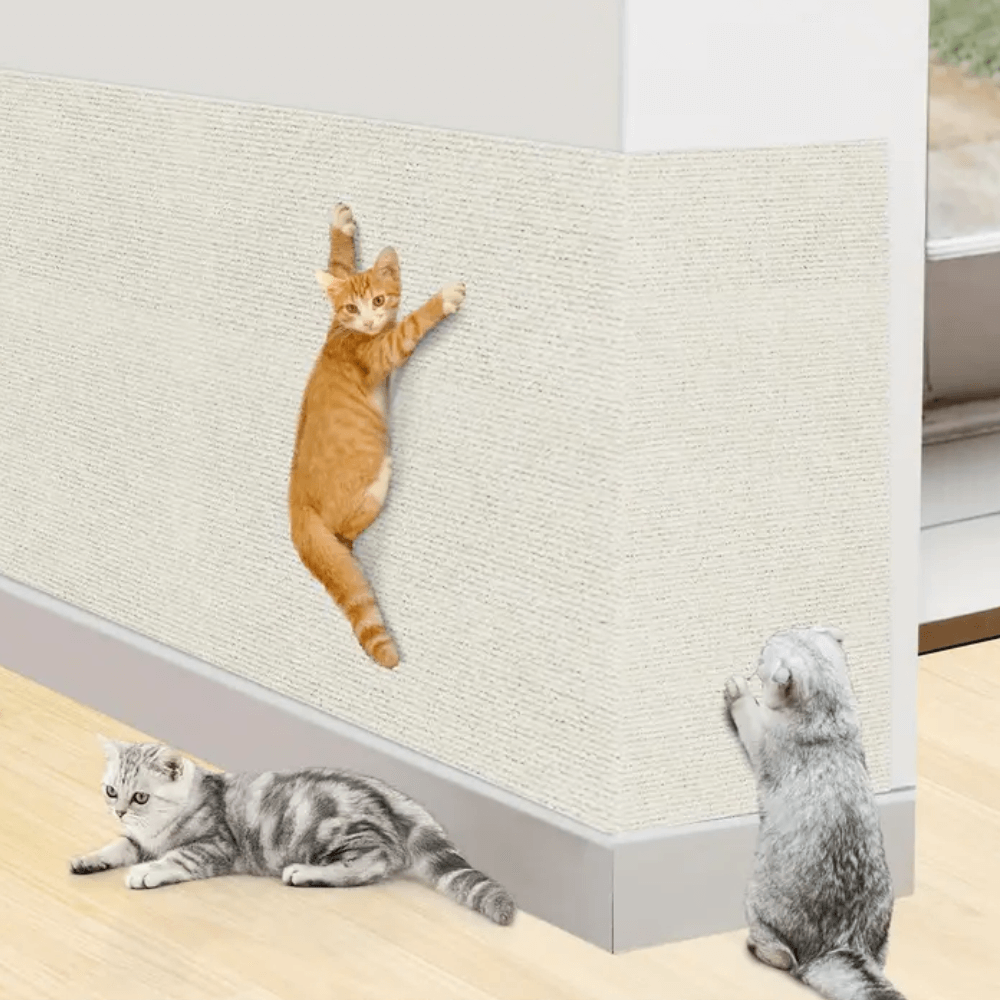 Katte Kradse Pude Holdbar Design til Møbler