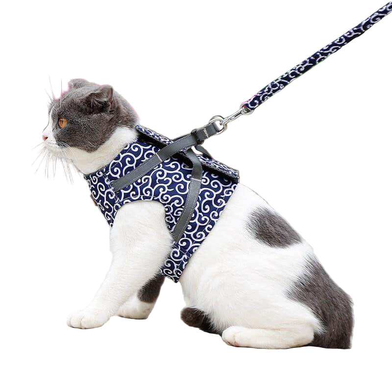 Katte Vest Selesæt til Udendørs Eventyr