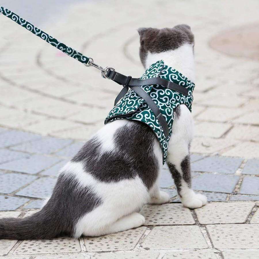 Katte Vest Selesæt til Udendørs Eventyr