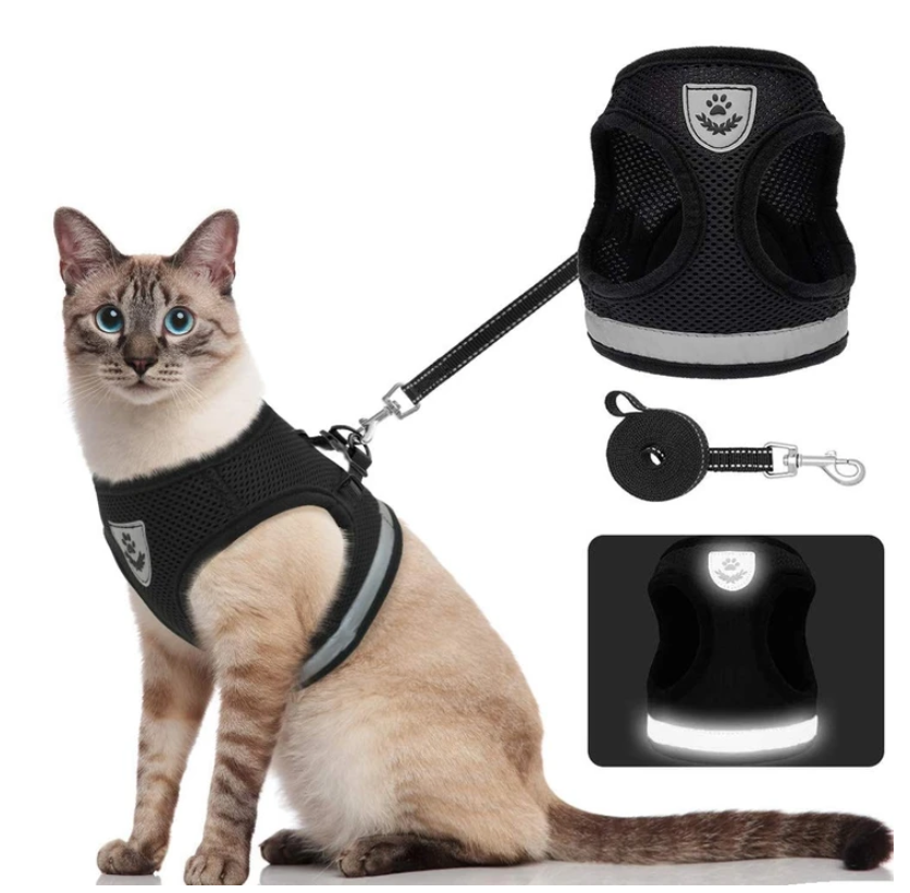 Kattesele Med Snor - AdventureKit til Sikker Gåture