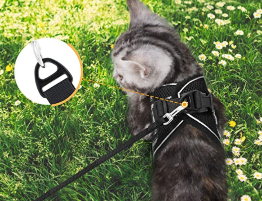 Kattesele Med Snor - AdventureKit til Sikker Gåture