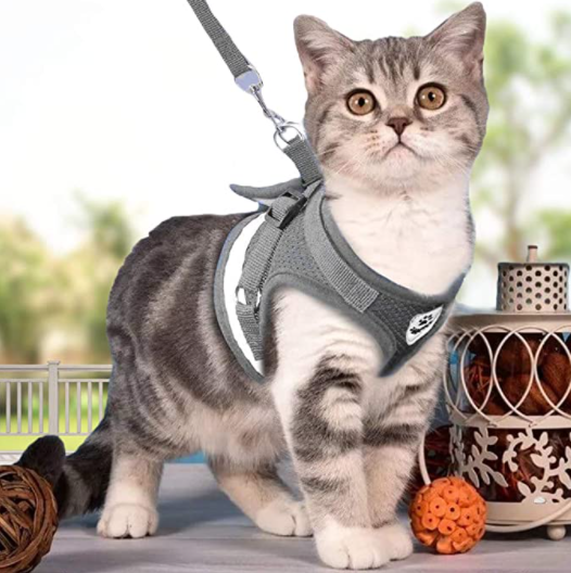 Kattesele Med Snor - AdventureKit til Sikker Gåture
