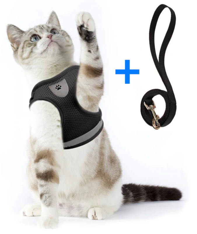 Kattesele Med Snor - AdventureKit til Sikker Gåture