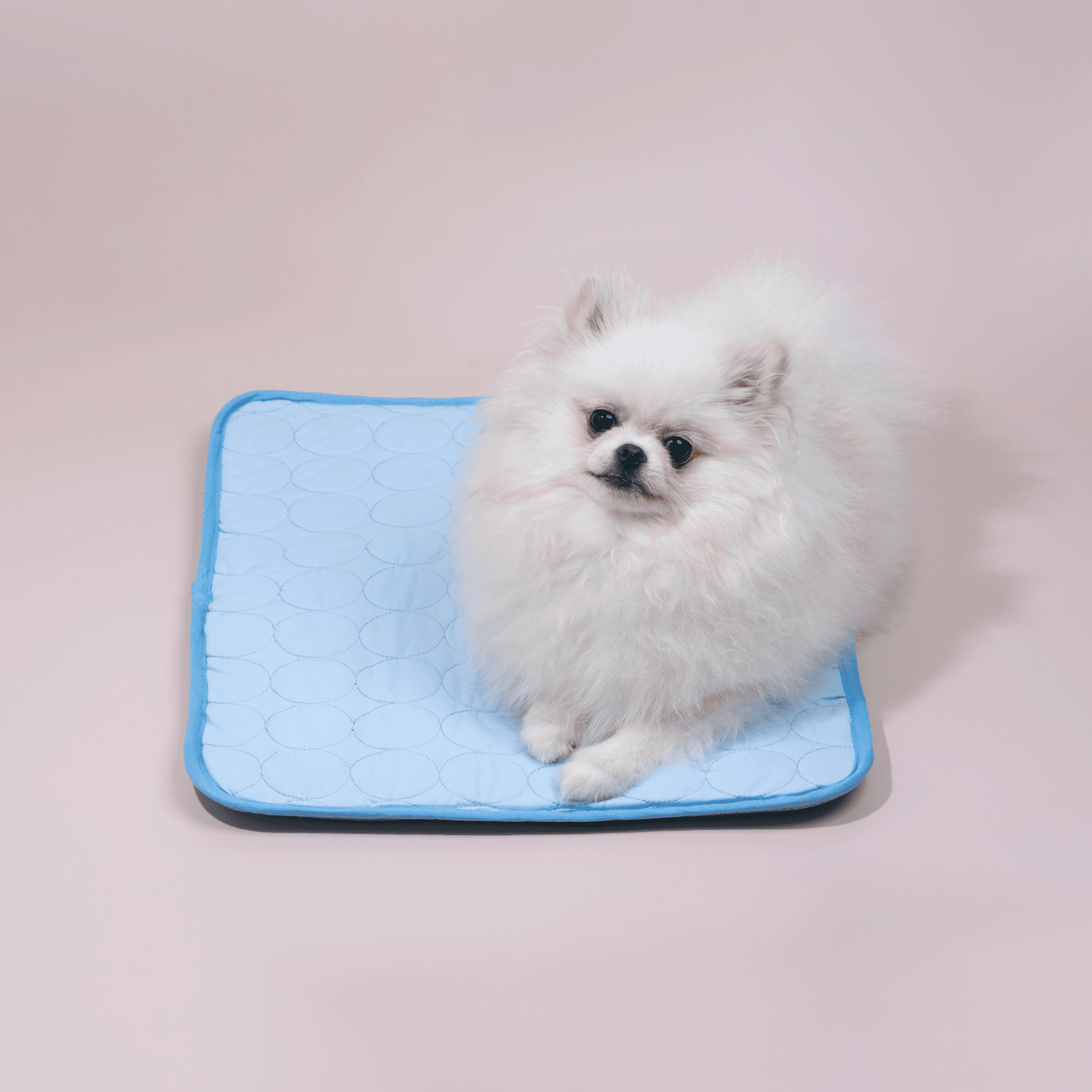Kølemåtte til hunde med Innovativ Design