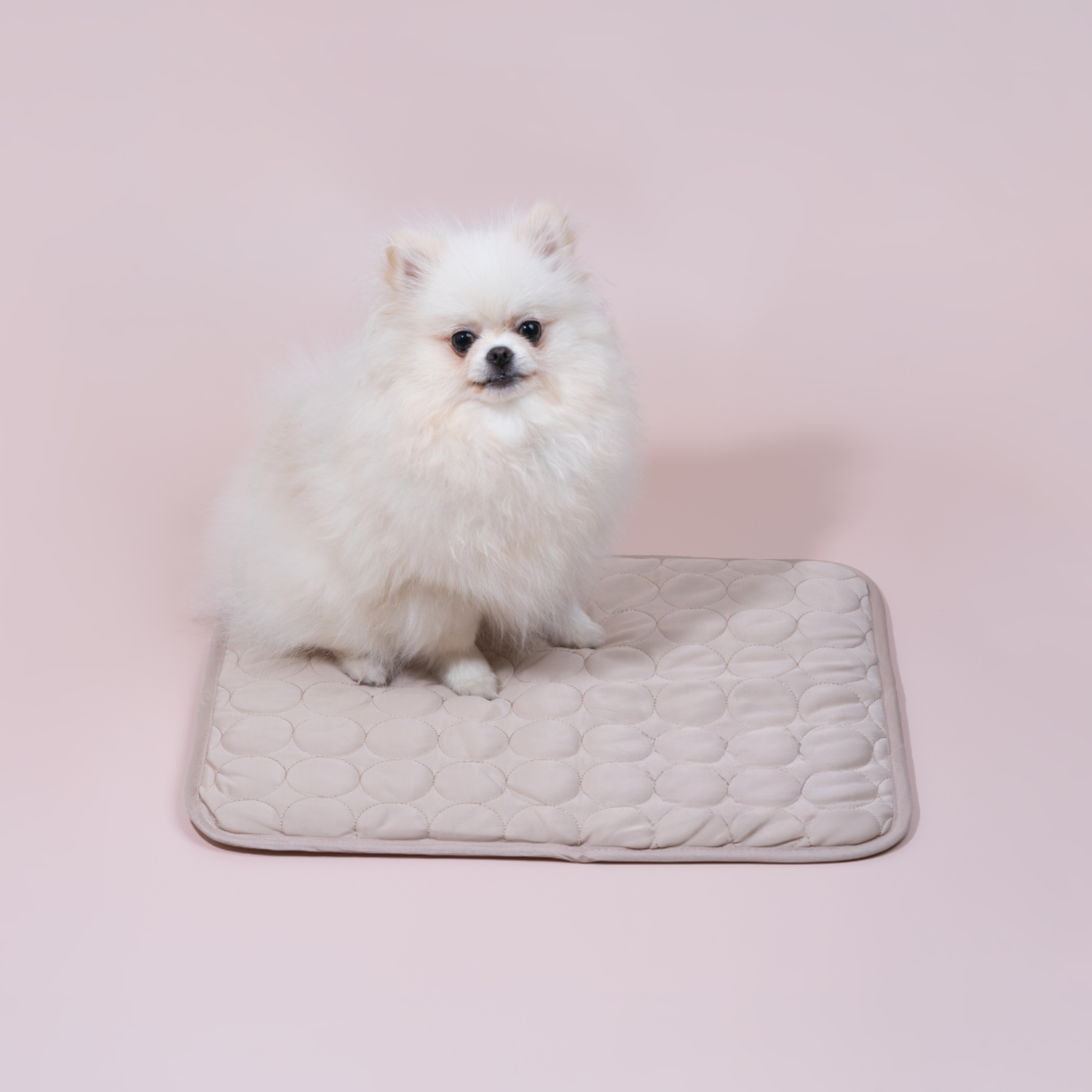 Kølemåtte til hunde med Innovativ Design