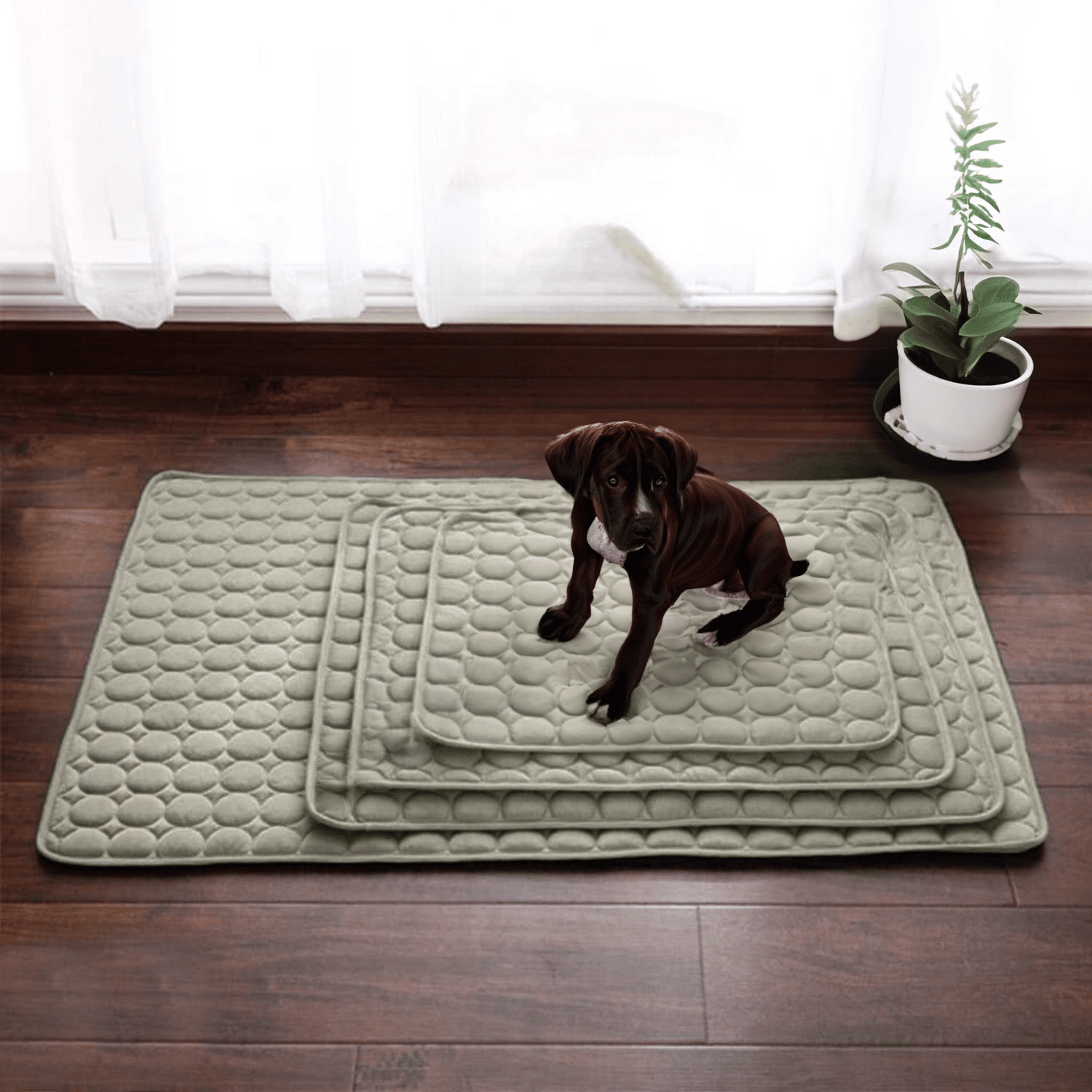 Kølemåtte til hunde med Innovativ Design