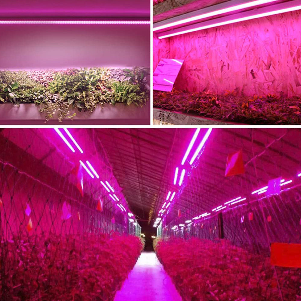 LED Plantelampe Fuld Spektrum