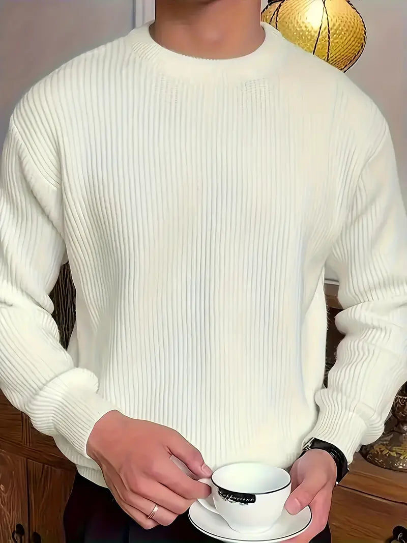 Herre Striktrøje Casual Afslappet Stil