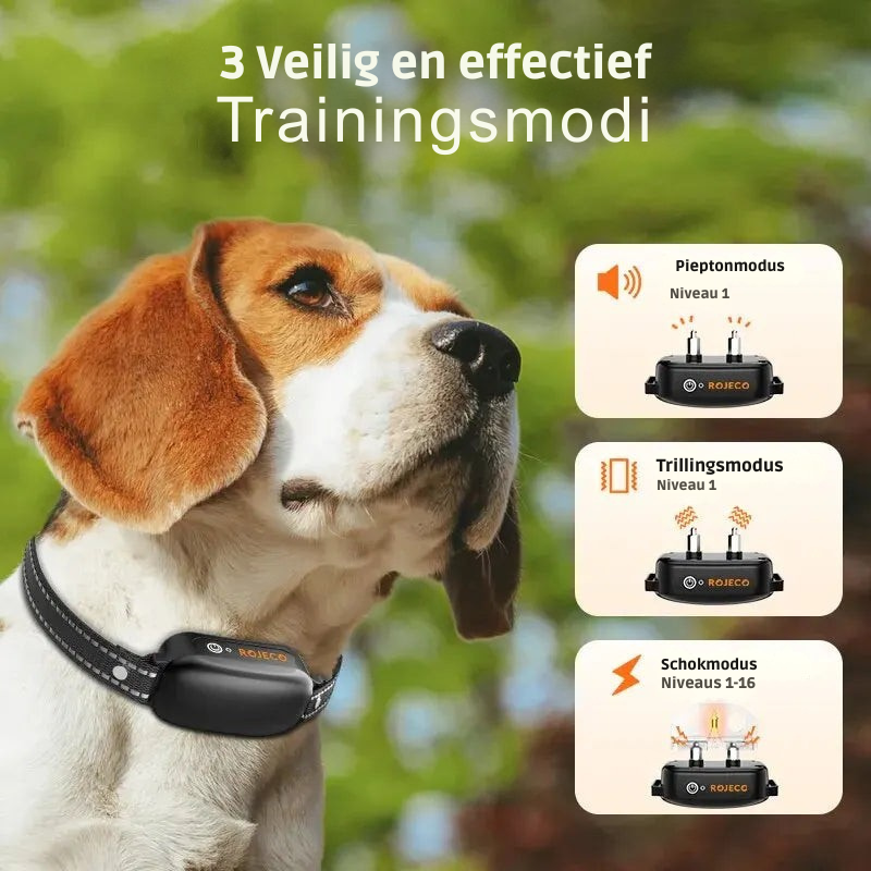 ProTrain – Genopladeligt vandtæt hundetræningshalsbånd