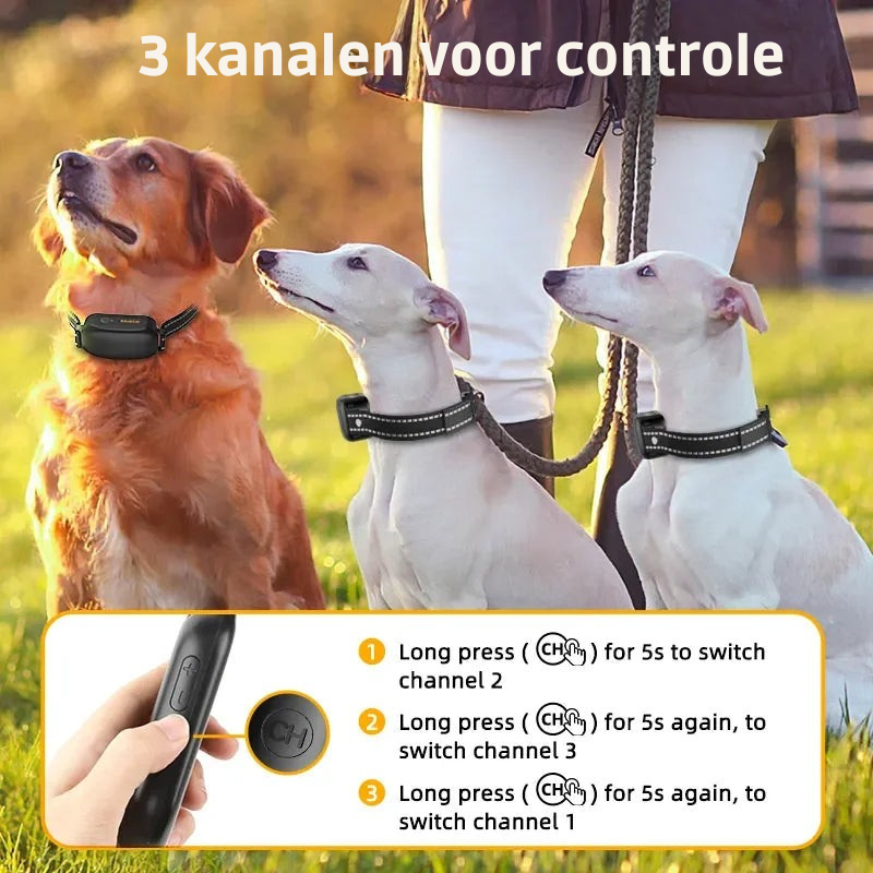 ProTrain – Genopladeligt vandtæt hundetræningshalsbånd