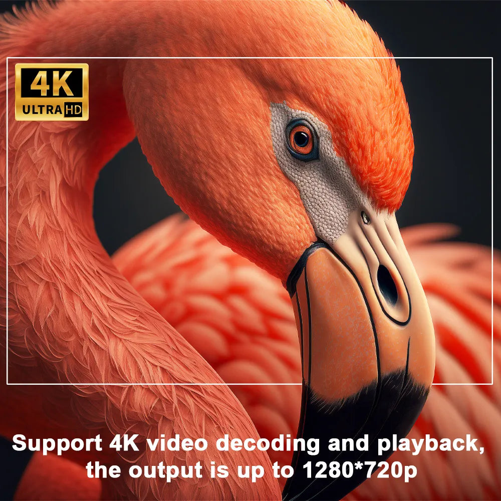 HomeVision Projektor | Ultra HD Biografprojektor-zarada.dk