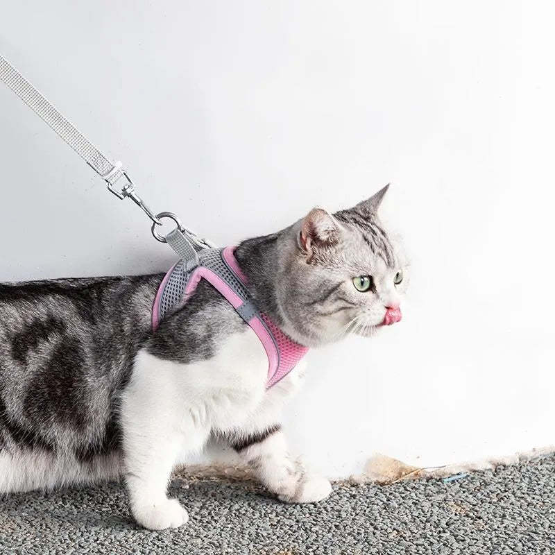 Eventyrlig Katteharness med Snor – Justerbar og Reflekterende