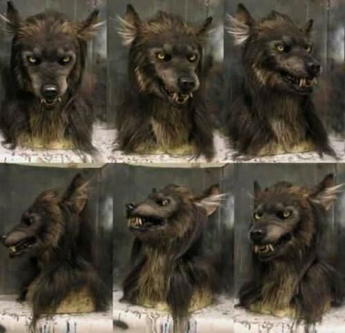 Unisex Varulvemaske til Halloween og Cosplay