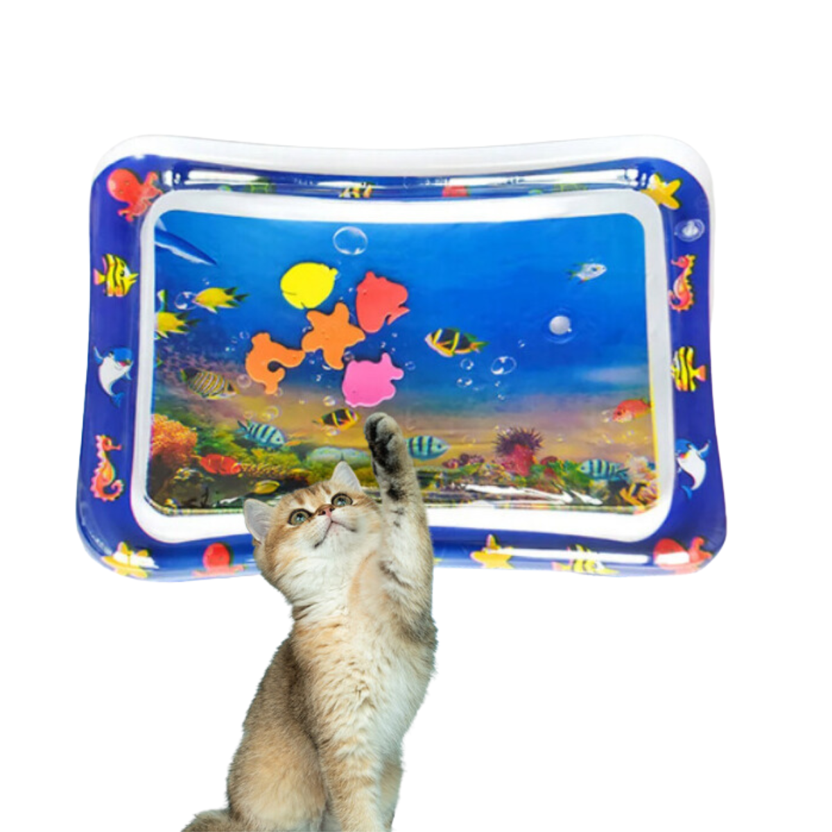 PurrSplash Legeunderlag | Ultimativ vandleg for katte-zarada.dk