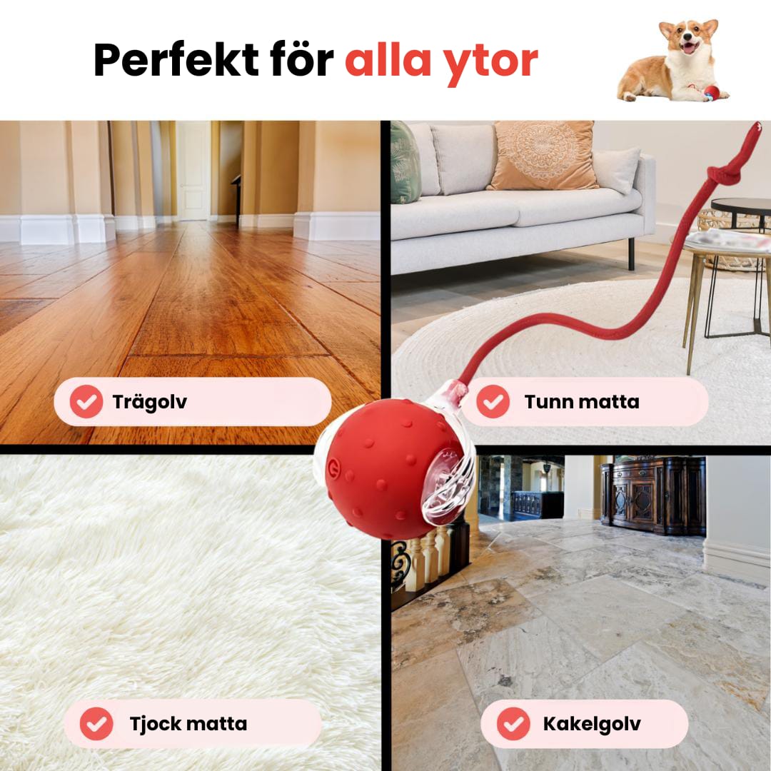 PawTail | Speedy Tail Hundejacke Let Vandafvisende Åndbar