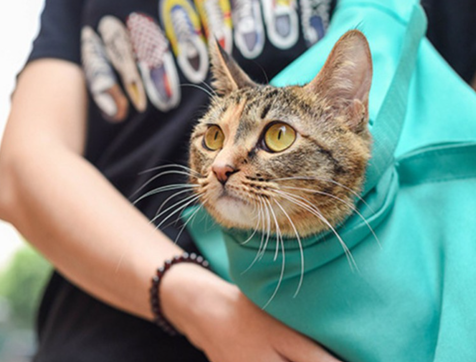 PurrfectTravel | Plejetaske og Rejsetaske-zarada.dk