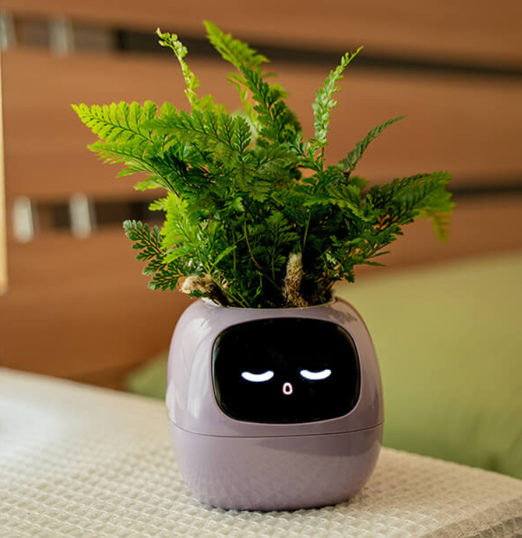 EmojiPlant | Kreativ Emoji Blomsterkrukke-zarada.dk