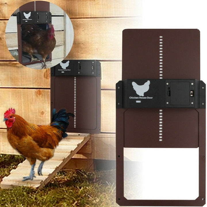 PoultryPro | Sørg for at dine kyllinger er sikkert indkvarteret