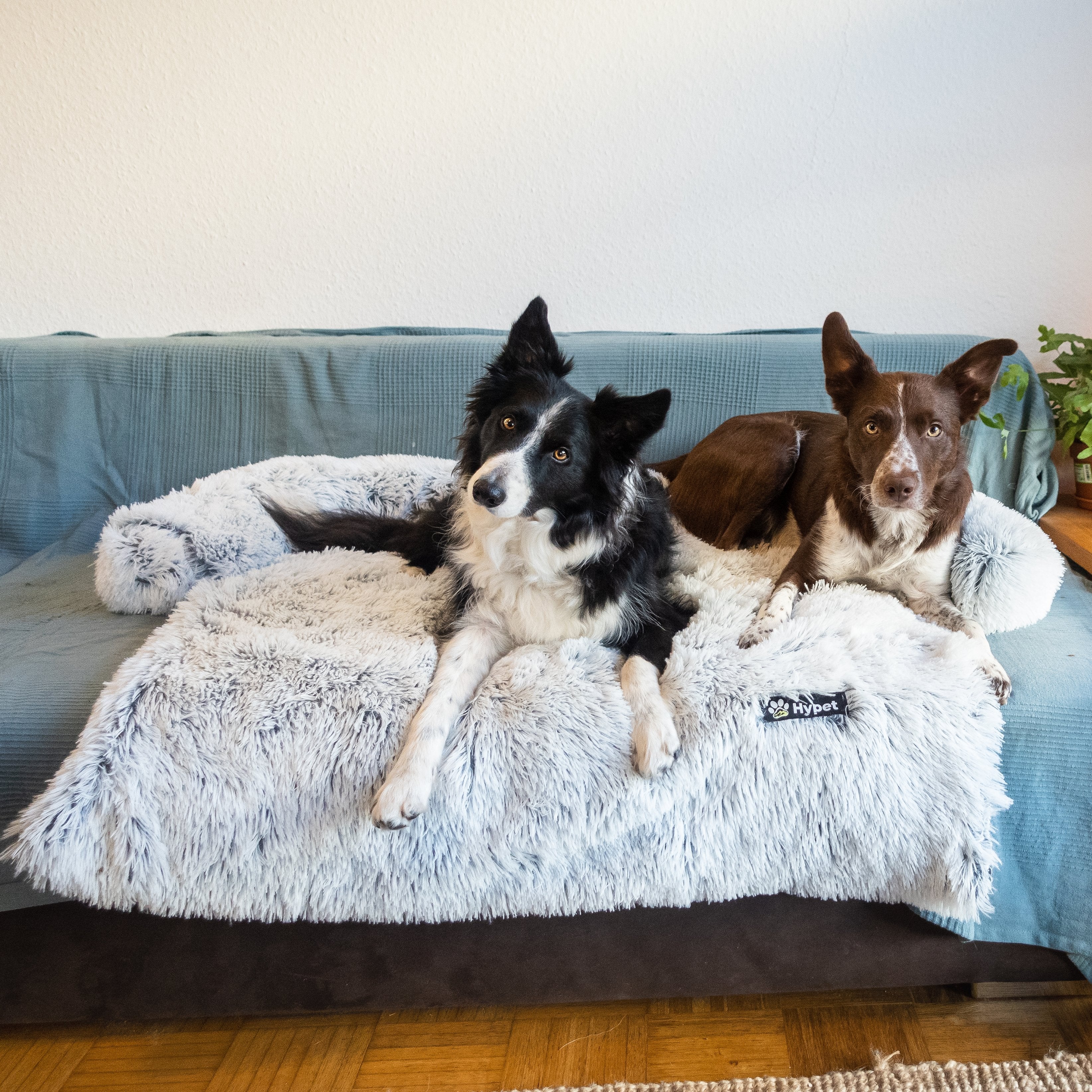 PawsyPillow | Vaskbar, varm og vandtæt efterårs pude til din hund-zarada.dk