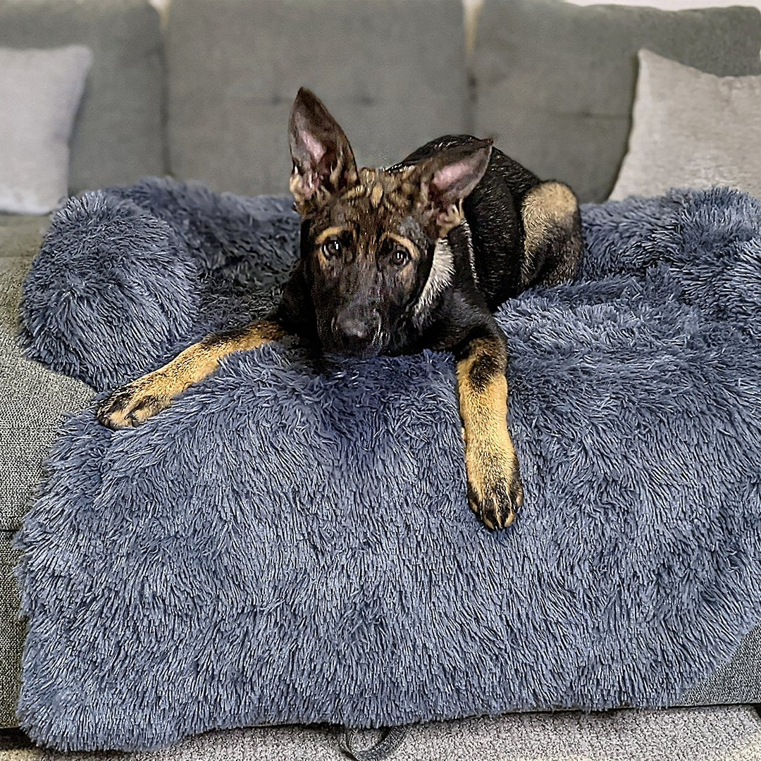 PawsyPillow | Vaskbar, varm og vandtæt efterårs pude til din hund-zarada.dk