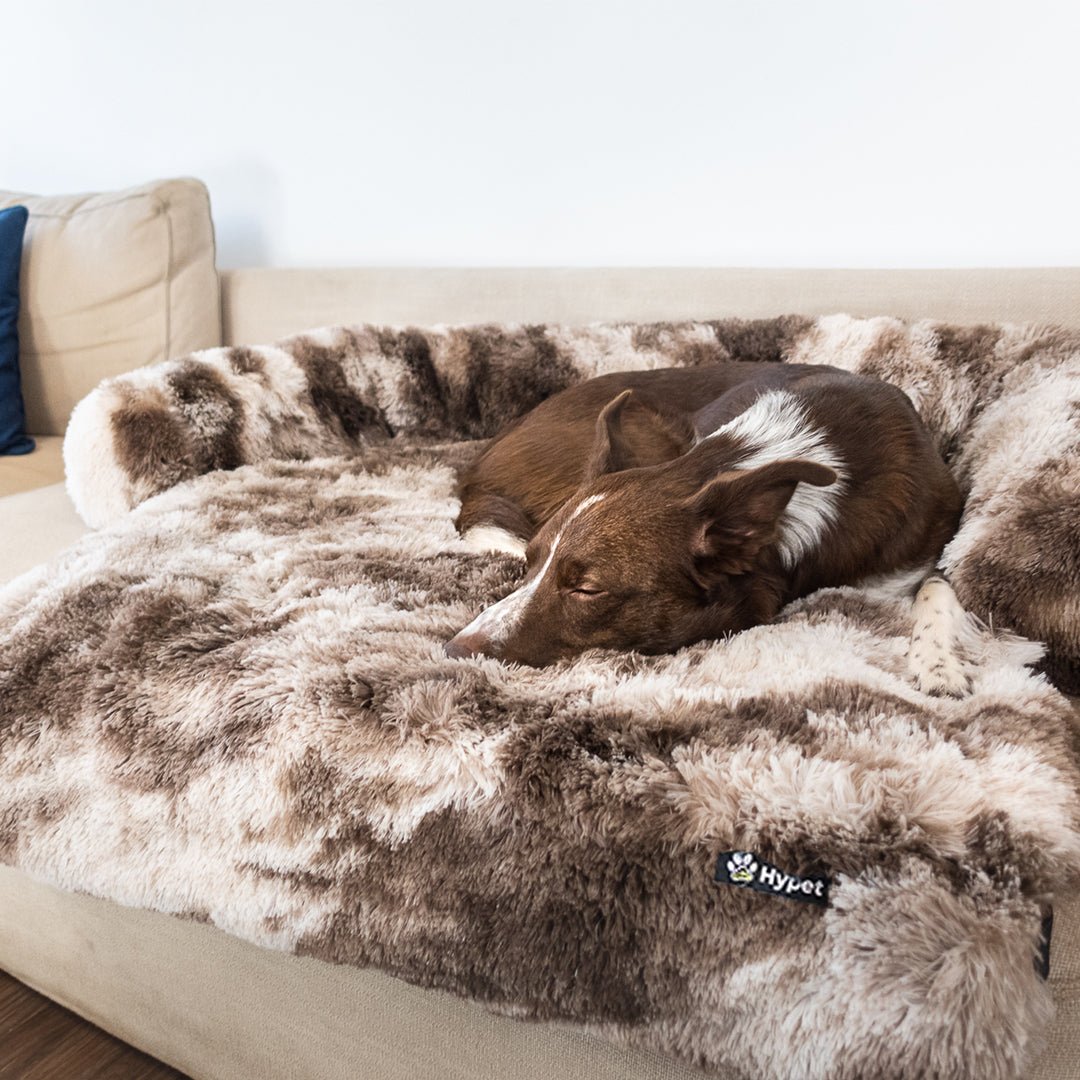 PawsyPillow | Vaskbar, varm og vandtæt efterårs pude til din hund-zarada.dk