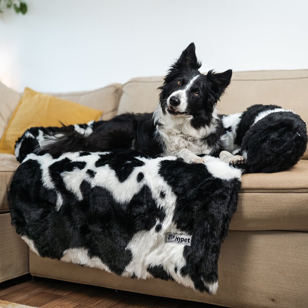 PawsyPillow | Vaskbar, varm og vandtæt efterårs pude til din hund-zarada.dk