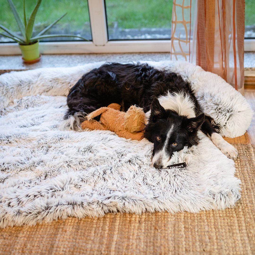 PawsyPillow | Vaskbar, varm og vandtæt efterårs pude til din hund-zarada.dk