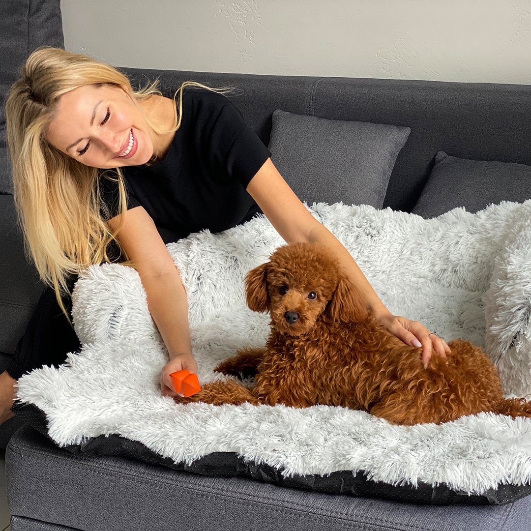 PawsyPillow | Vaskbar, varm og vandtæt efterårs pude til din hund-zarada.dk