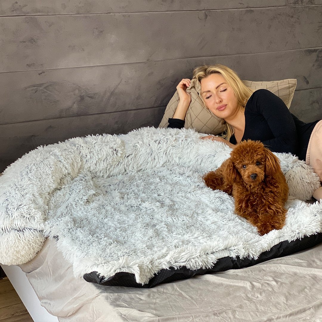 PawsyPillow | Vaskbar, varm og vandtæt efterårs pude til din hund-zarada.dk