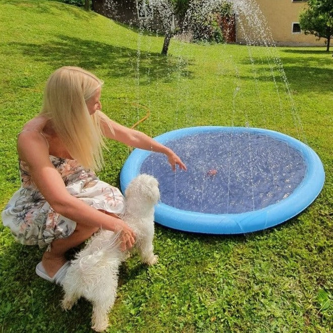 DogSplash | Lang leve sjovet for din firbenede ven!-zarada.dk
