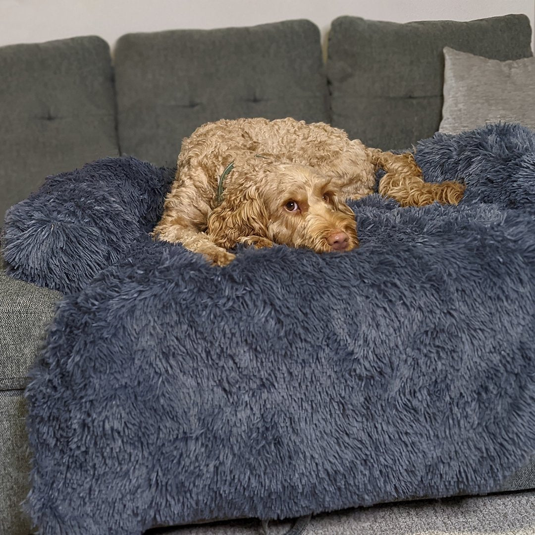 PawsyPillow | Vaskbar, varm og vandtæt efterårs pude til din hund-zarada.dk