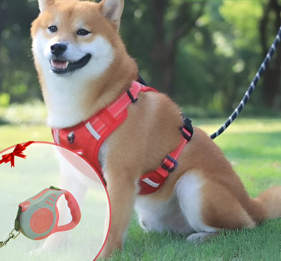 PawEase Soft Hundesele | Komfort, Sikkerhed og Kontrol-zarada.dk