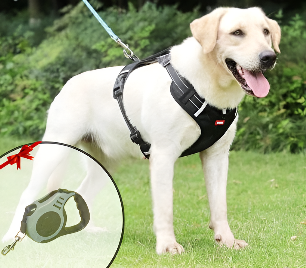 PawEase Soft Hundesele | Komfort, Sikkerhed og Kontrol-zarada.dk