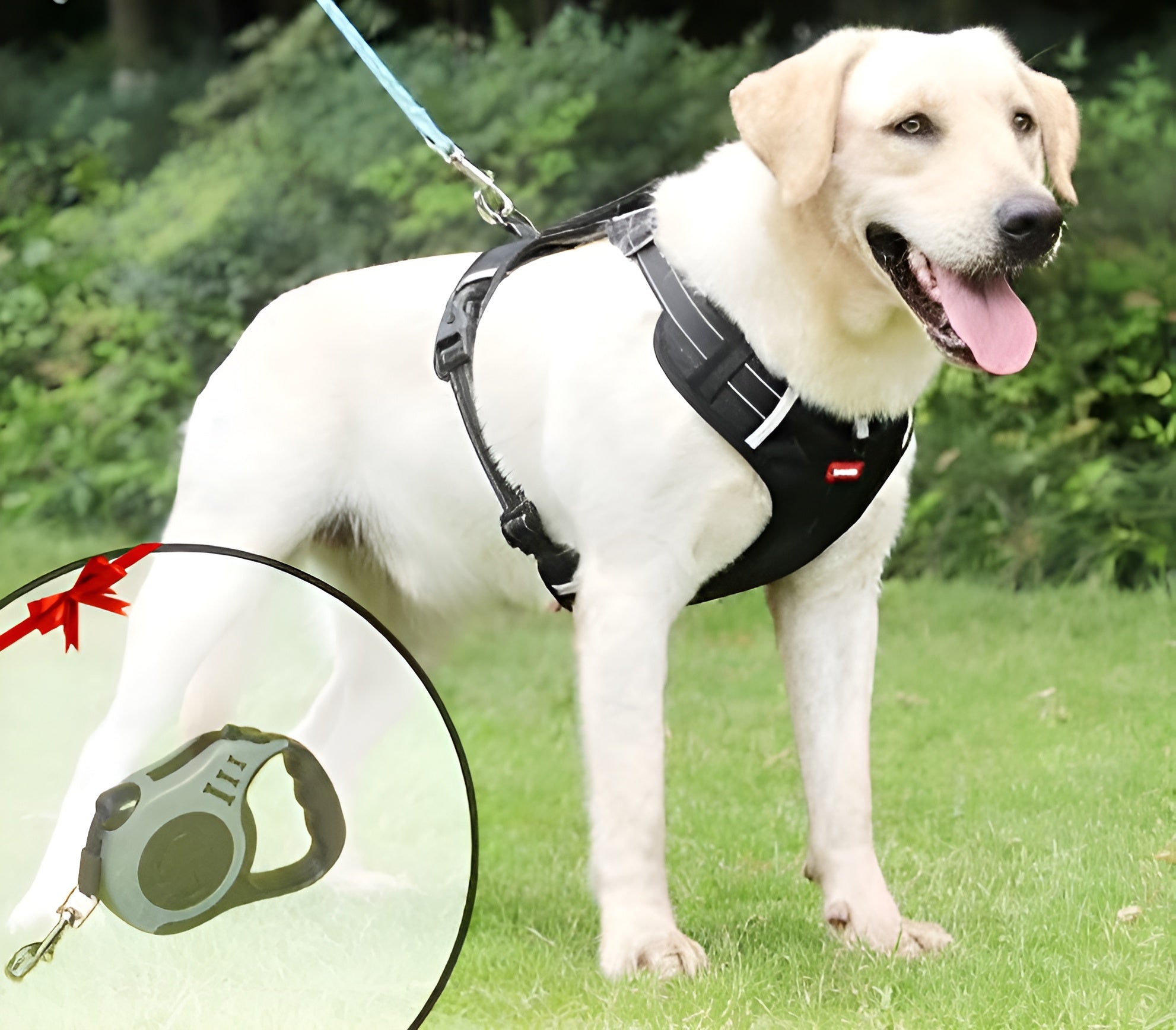 PawEase Soft Hundesele | Komfort, Sikkerhed og Kontrol-zarada.dk