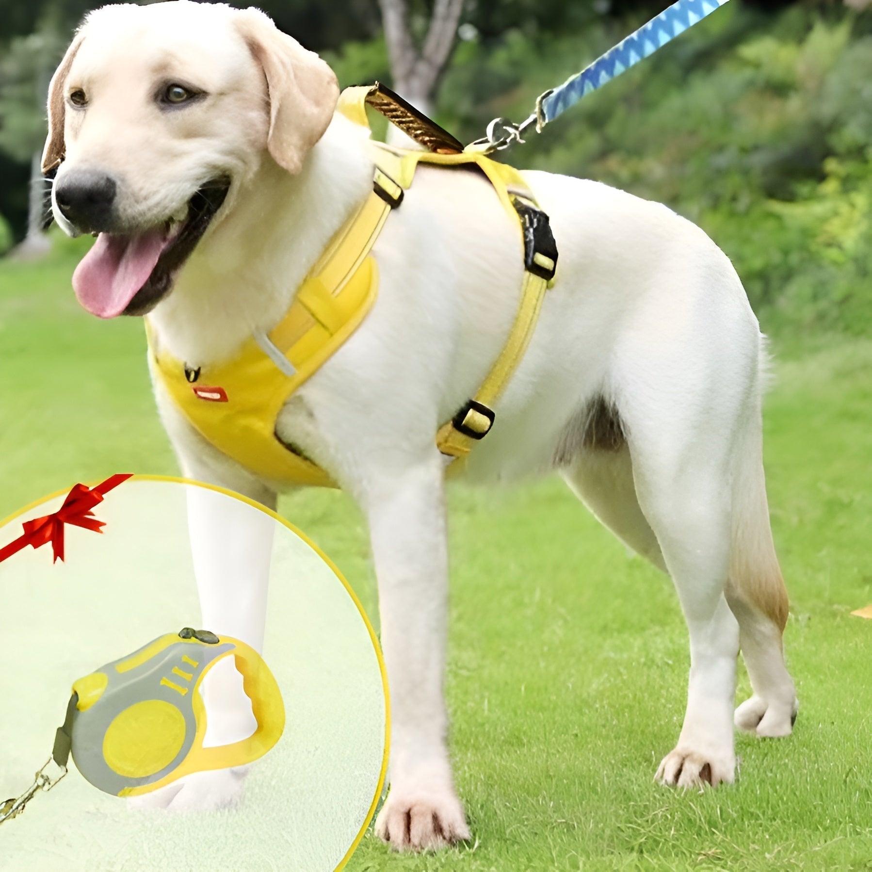 PawEase Soft Hundesele | Komfort, Sikkerhed og Kontrol-zarada.dk