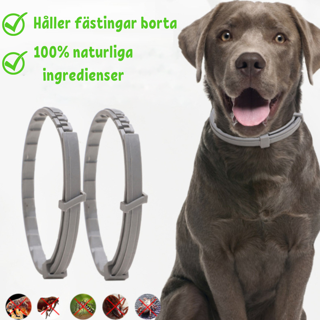 PetGuard | Multi-Beskyttelse Halsbånd mod Lopper og Flåter-zarada.dk