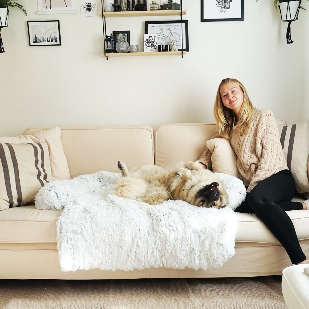 PawsyPillow | Vaskbar, varm og vandtæt efterårs pude til din hund-zarada.dk