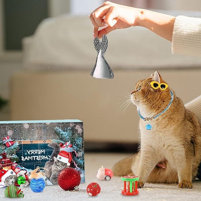 Pawfect | 2025 Julekalender til nedtælling for katte og hunde